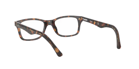 Ray-Ban Eyeglasses RX5228 2012