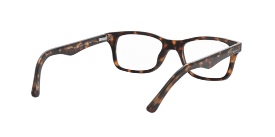 Ray-Ban Eyeglasses RX5228 2012