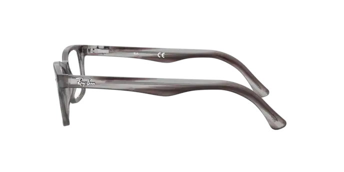 Ray-Ban Eyeglasses RX5228 8055