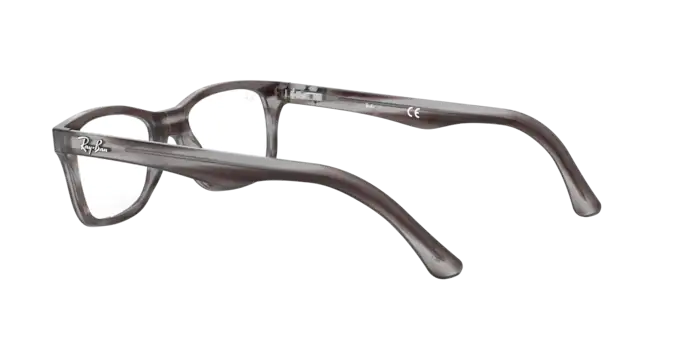 Ray-Ban Eyeglasses RX5228 8055