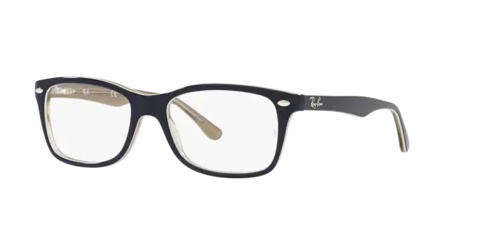 Ray-Ban Eyeglasses RX5228 8119