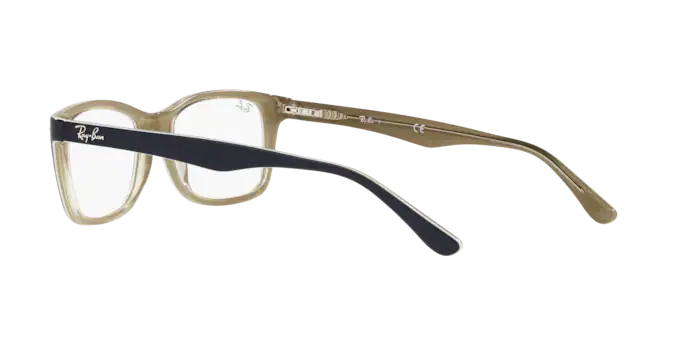 Ray-Ban Eyeglasses RX5228 8119