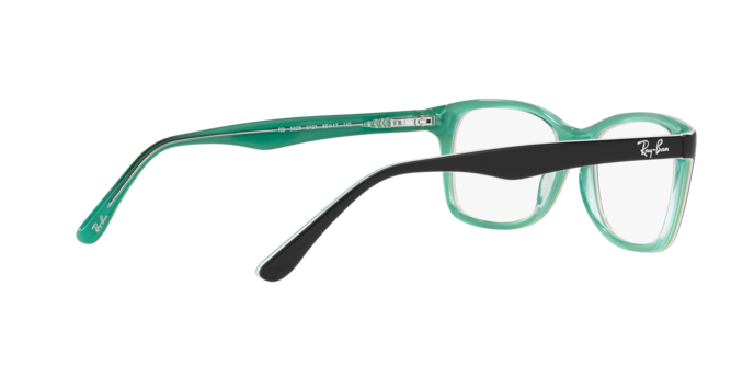 Ray-Ban Eyeglasses RX5228 8121