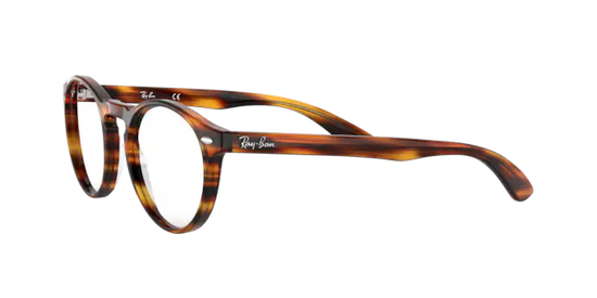 Ray-Ban Eyeglasses RX5283 2144