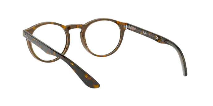 Ray-Ban Eyeglasses RX5283 5989