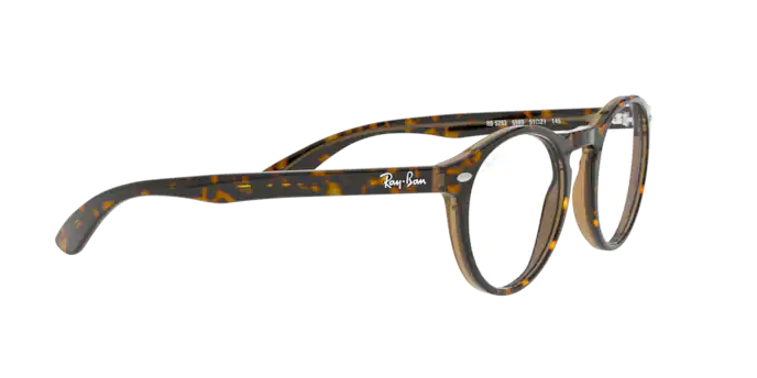 Ray-Ban Eyeglasses RX5283 5989