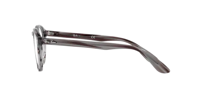 Ray-Ban Eyeglasses RX5283 8055