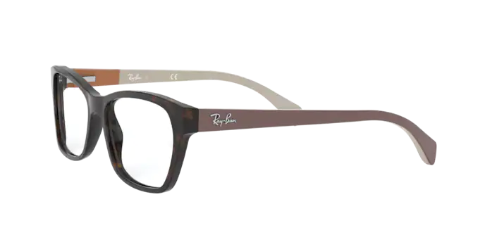 Ray-Ban Eyeglasses RX5298 5549