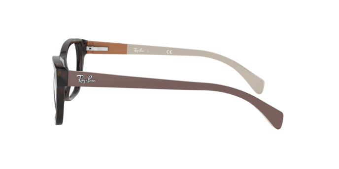 Ray-Ban Eyeglasses RX5298 5549