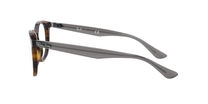 Ray-Ban Eyeglasses RX5356 5607