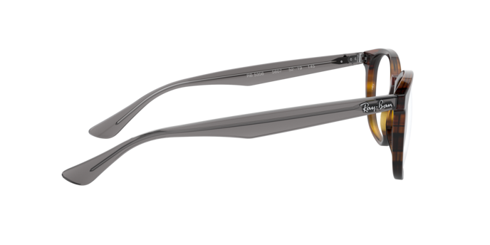 Ray-Ban Eyeglasses RX5356 5607