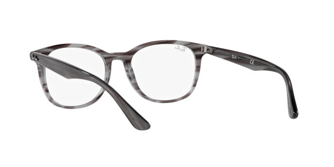 Ray-Ban Eyeglasses RX5356 8055