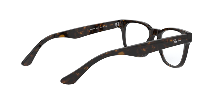 Ray-Ban Eyeglasses RX5359 2012