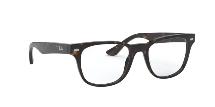 Ray-Ban Eyeglasses RX5359 2012