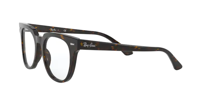 Ray-Ban Meteor Eyeglasses RX5377 2012