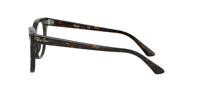 Ray-Ban Meteor Eyeglasses RX5377 2012