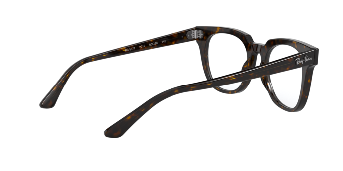 Ray-Ban Meteor Eyeglasses RX5377 2012