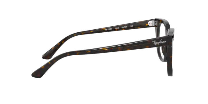 Ray-Ban Meteor Eyeglasses RX5377 2012