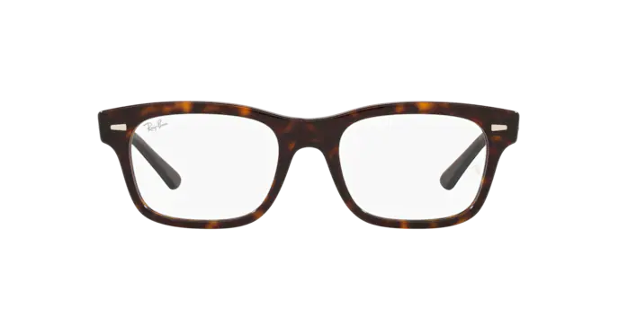 Ray-Ban Mr Burbank Eyeglasses RX5383 2012