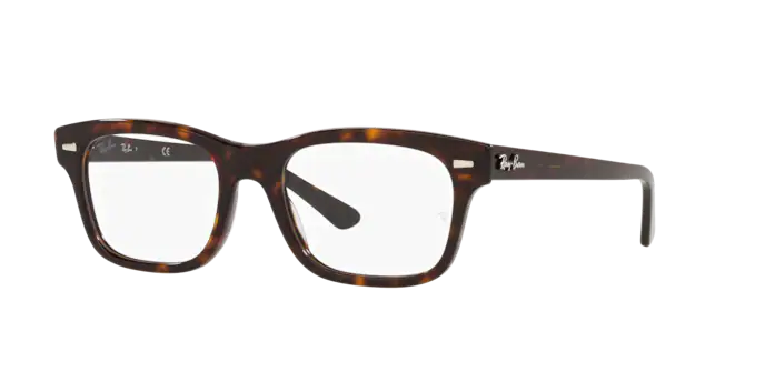 Ray-Ban Mr Burbank Eyeglasses RX5383 2012