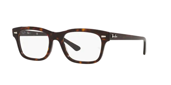 Ray-Ban Mr Burbank Eyeglasses RX5383 2012