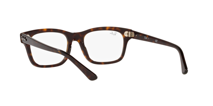 Ray-Ban Mr Burbank Eyeglasses RX5383 2012