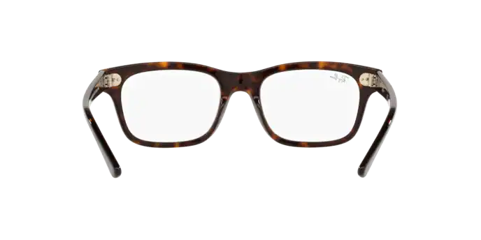 Ray-Ban Mr Burbank Eyeglasses RX5383 2012