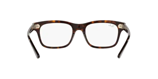 Ray-Ban Mr Burbank Eyeglasses RX5383 2012