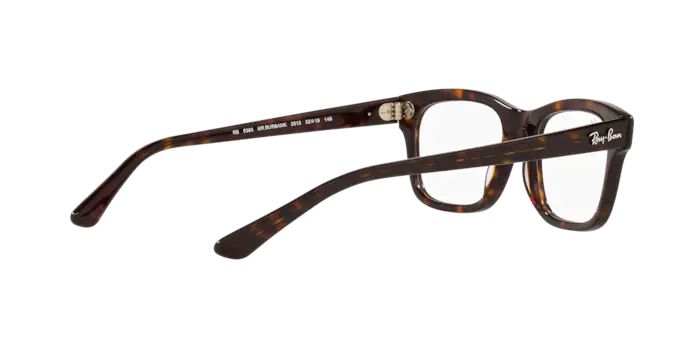 Ray-Ban Mr Burbank Eyeglasses RX5383 2012