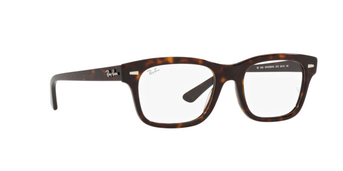 Ray-Ban Mr Burbank Eyeglasses RX5383 2012