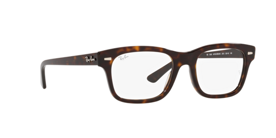 Ray-Ban Mr Burbank Eyeglasses RX5383 2012