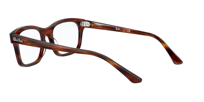 Ray-Ban Mr Burbank Eyeglasses RX5383 2144