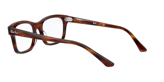 Ray-Ban Mr Burbank Eyeglasses RX5383 2144