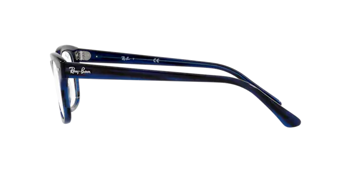 Ray-Ban Mr Burbank Eyeglasses RX5383 8053