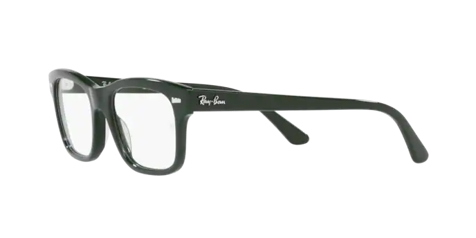 Ray-Ban Mr Burbank Eyeglasses RX5383 8226