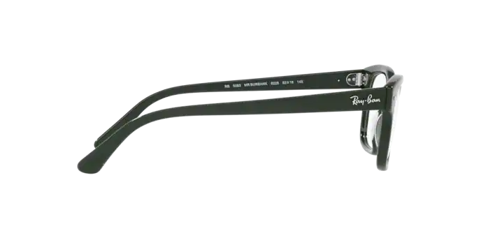 Ray-Ban Mr Burbank Eyeglasses RX5383 8226