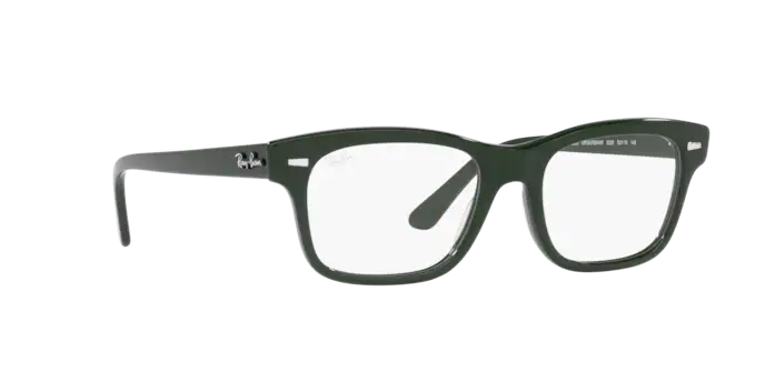 Ray-Ban Mr Burbank Eyeglasses RX5383 8226
