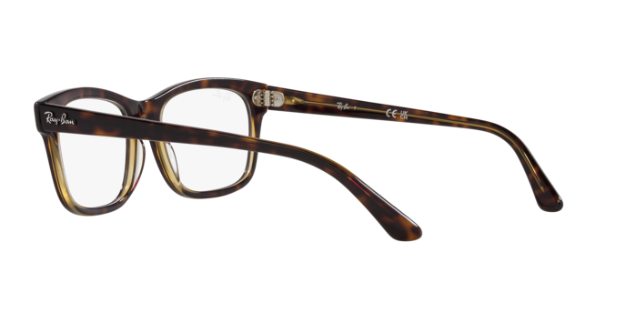 Ray-Ban Mr Burbank Eyeglasses RX5383 8285