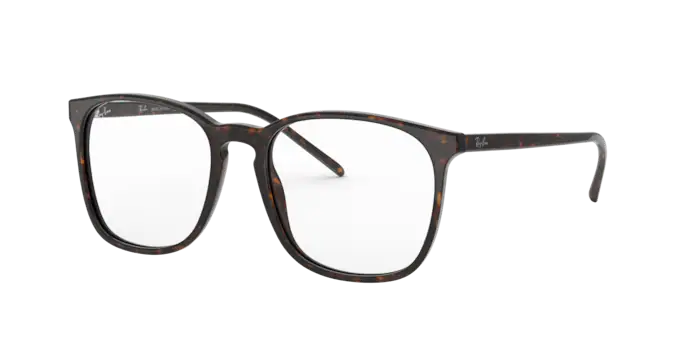 Ray-Ban Eyeglasses RX5387 2012