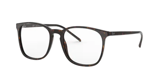 Ray-Ban Eyeglasses RX5387 2012