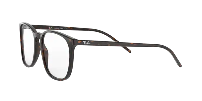 Ray-Ban Eyeglasses RX5387 2012