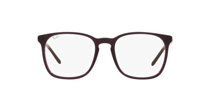 Ray-Ban Eyeglasses RX5387 8139