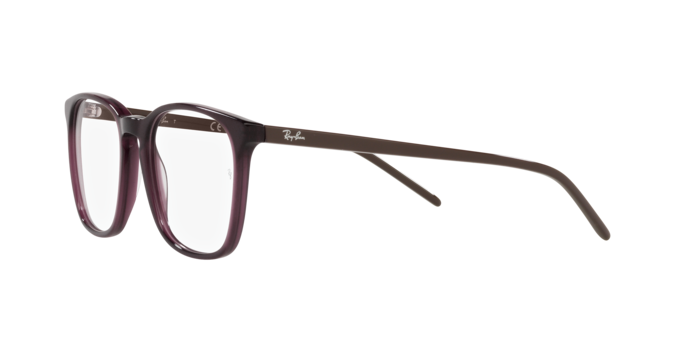 Ray-Ban Eyeglasses RX5387 8139