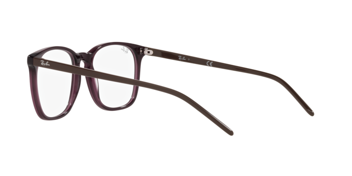 Ray-Ban Eyeglasses RX5387 8139