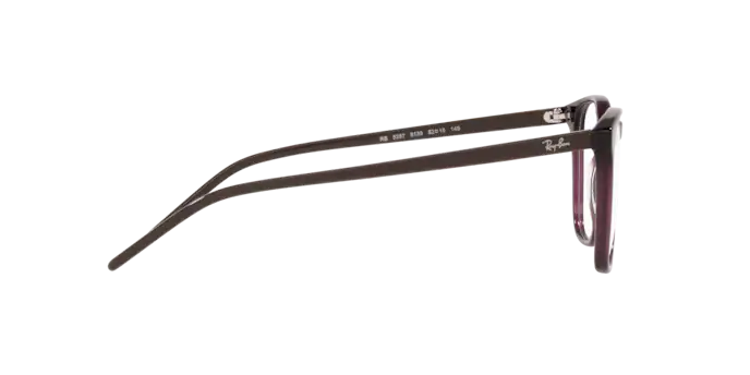 Ray-Ban Eyeglasses RX5387 8139