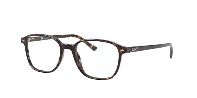 Ray-Ban Leonard Eyeglasses RX5393 2012