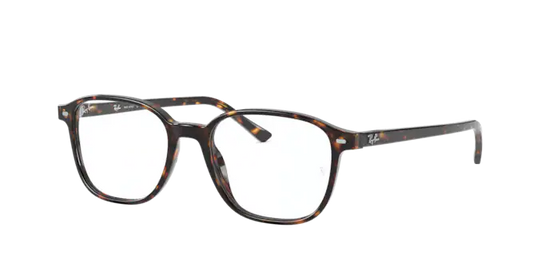 Ray-Ban Leonard Eyeglasses RX5393 2012