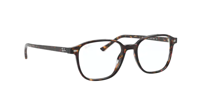 Ray-Ban Leonard Eyeglasses RX5393 2012