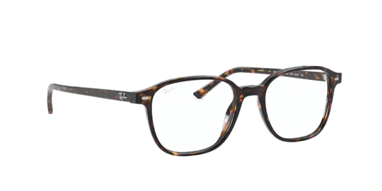 Ray-Ban Leonard Eyeglasses RX5393 2012