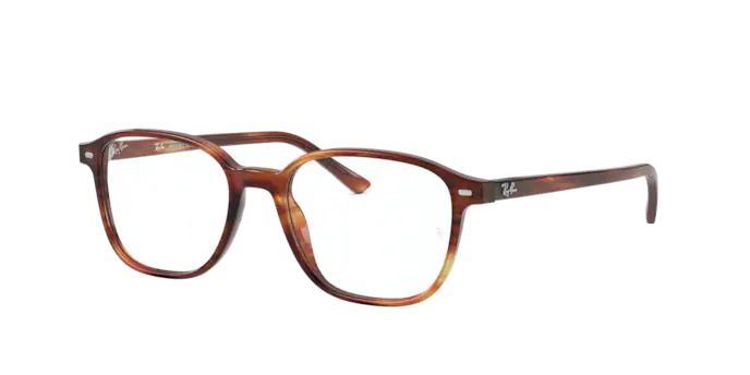 Ray-Ban Leonard Eyeglasses RX5393 2144